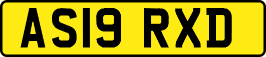 AS19RXD