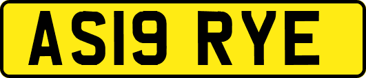 AS19RYE