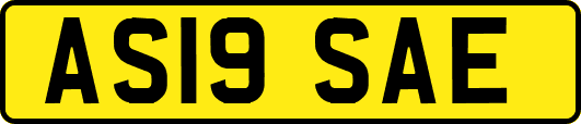 AS19SAE