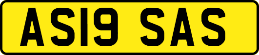 AS19SAS