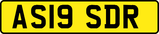 AS19SDR