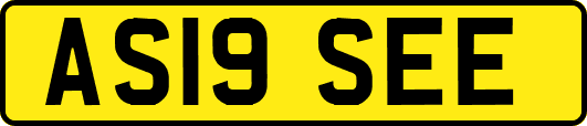 AS19SEE