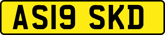 AS19SKD