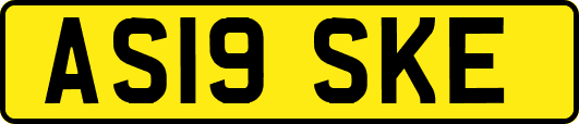 AS19SKE