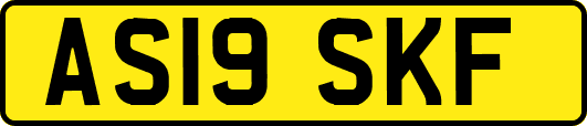 AS19SKF