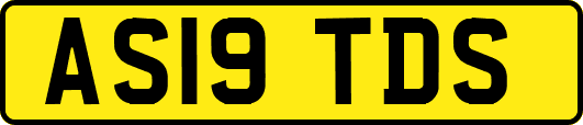 AS19TDS