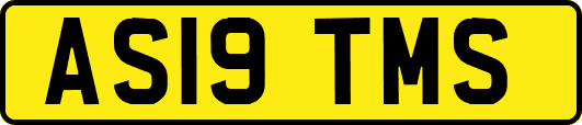 AS19TMS