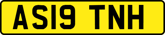 AS19TNH