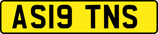 AS19TNS