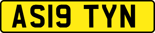 AS19TYN