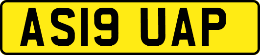 AS19UAP