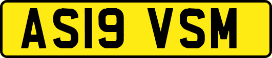 AS19VSM