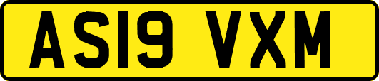 AS19VXM