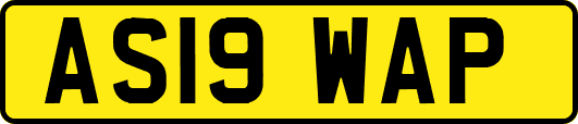 AS19WAP