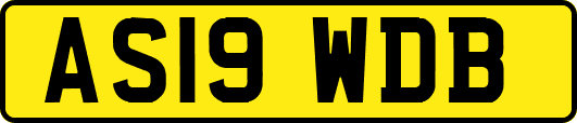 AS19WDB