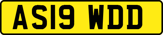 AS19WDD