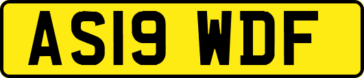 AS19WDF