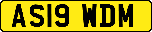 AS19WDM