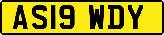 AS19WDY