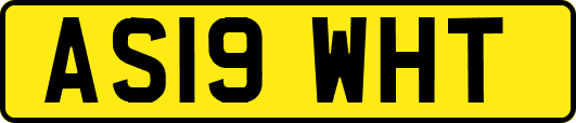 AS19WHT