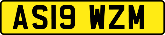 AS19WZM