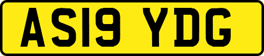 AS19YDG