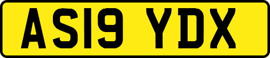 AS19YDX