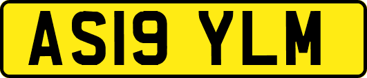 AS19YLM