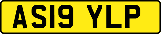 AS19YLP