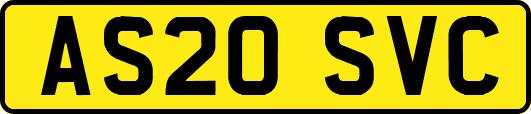 AS20SVC