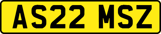 AS22MSZ