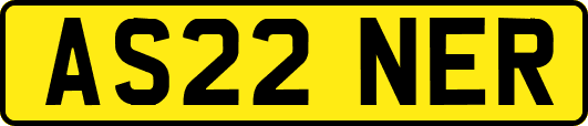 AS22NER