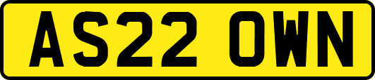 AS22OWN