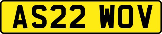 AS22WOV