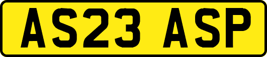 AS23ASP