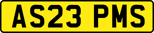 AS23PMS