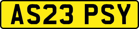 AS23PSY