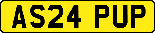 AS24PUP