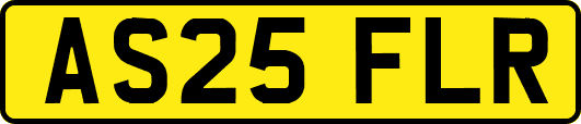 AS25FLR