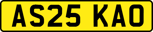 AS25KAO
