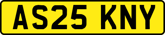 AS25KNY