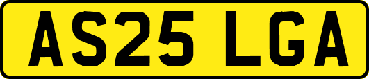 AS25LGA