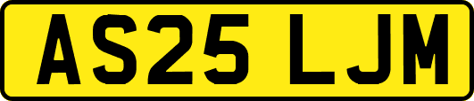 AS25LJM