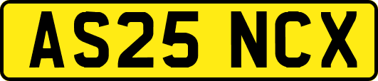 AS25NCX