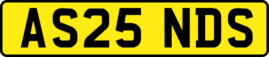 AS25NDS