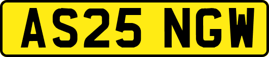 AS25NGW