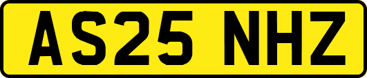 AS25NHZ