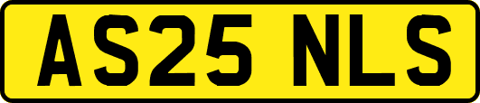 AS25NLS