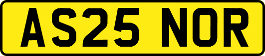 AS25NOR