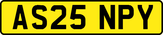 AS25NPY